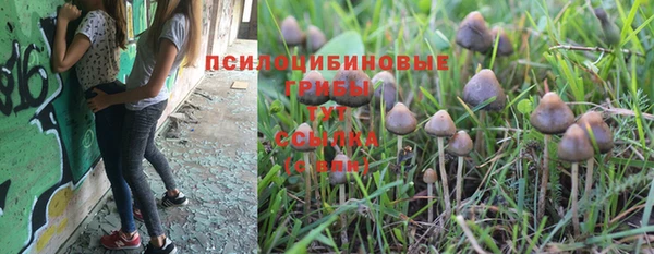 наркотики Богородск