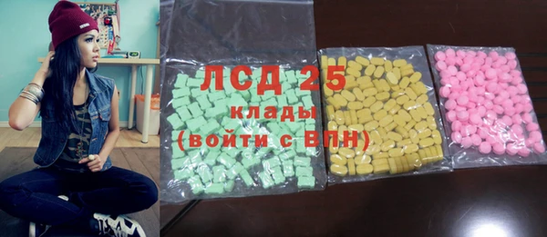 мдпв Краснослободск