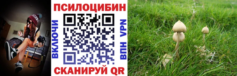 Псилоцибиновые грибы Cubensis  Сковородино 
